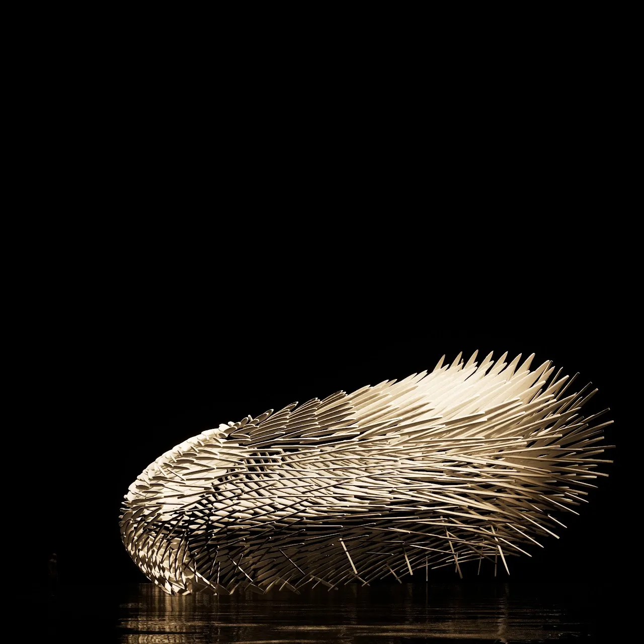 Boundless Wings